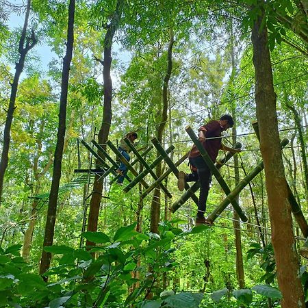 Adrak Mountain Mist Forest Resort Pulpally Екстериор снимка
