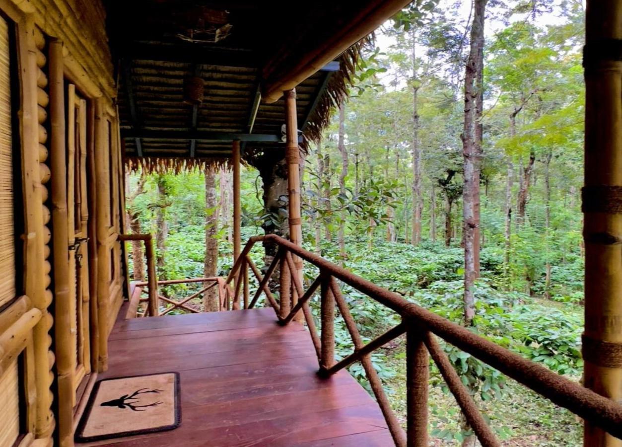 Adrak Mountain Mist Forest Resort Pulpally Екстериор снимка