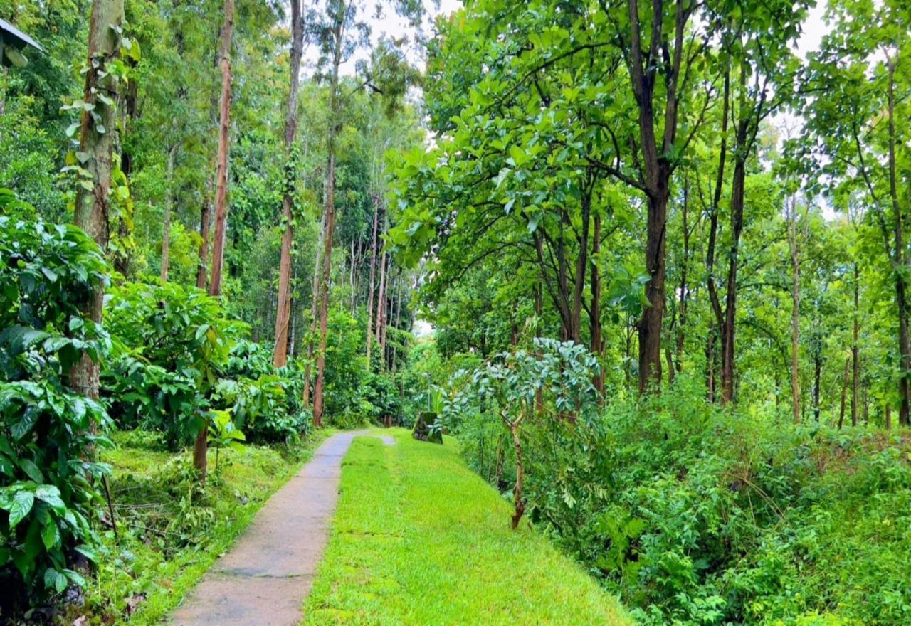 Adrak Mountain Mist Forest Resort Pulpally Екстериор снимка