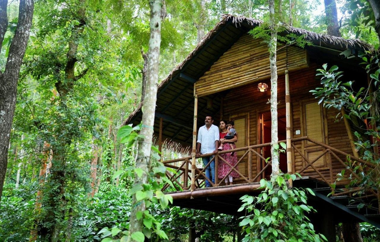 Adrak Mountain Mist Forest Resort Pulpally Екстериор снимка